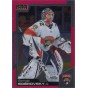 SERGEI BOBROVSKY paralel 20-21 OPC Platinum Matte Pink