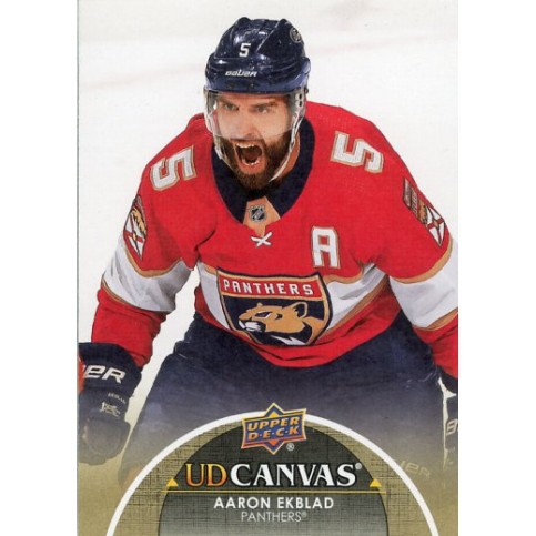 AARON EKBLAD insert 21-22 UD Series 1 Canvas