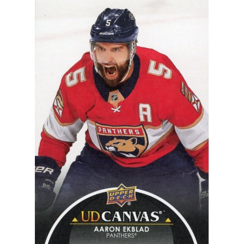 AARON EKBLAD insert 21-22 UD Series 1 Canvas