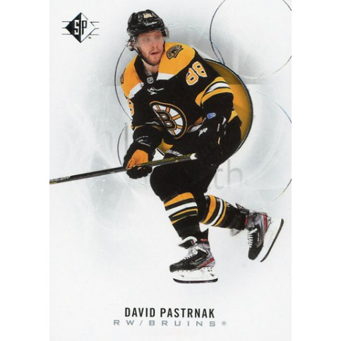 DAVID PASTRNAK  řadová 20-21 UD SP 