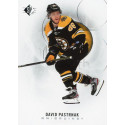 DAVID PASTRNAK  řadová 20-21 UD SP 