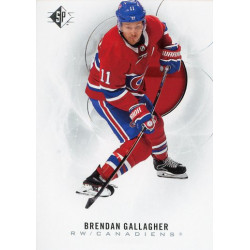 BRENDAN GALLAGHER  řadová 20-21 UD SP 