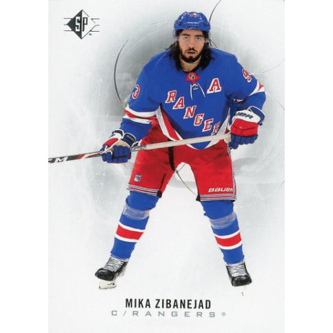 MIKA ZIBANEJAD  řadová 20-21 UD SP 