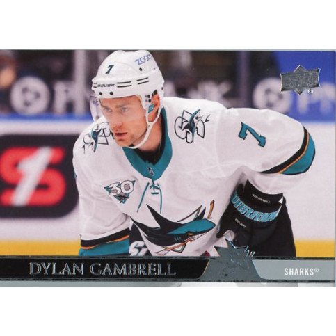 DYLAN GAMBRELL 20-21 řadová 20-21 UD Extended