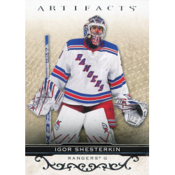 IGOR SHESTERKIN řadová 20-21 UD Artifacts