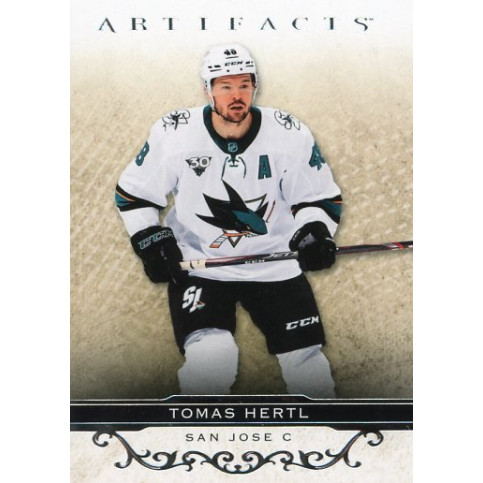 TOMÁŠ HERTL  řadová 20-21 UD Artifacts