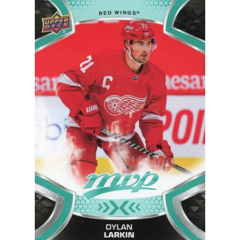 DYLAN LARKIN řadová 21-22 UD MVP