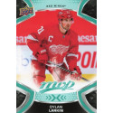 DYLAN LARKIN řadová 21-22 UD MVP